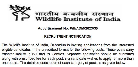 Read more about the article WII Recruitment 2023