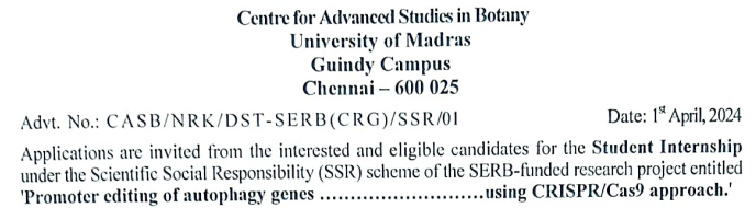 Read more about the article Madras University Recruitment 2024